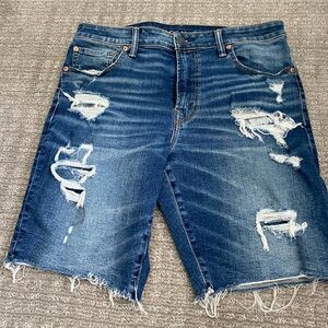 American Eagle Outfitters Blue Distressed Jean Shorts